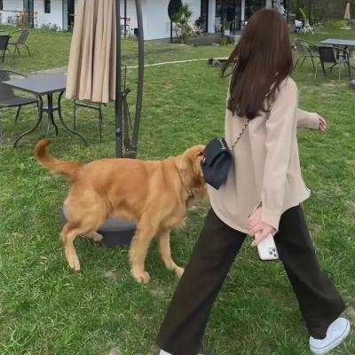 呆呆精灵与女巫城堡