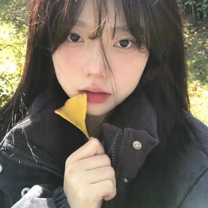老友记第一季